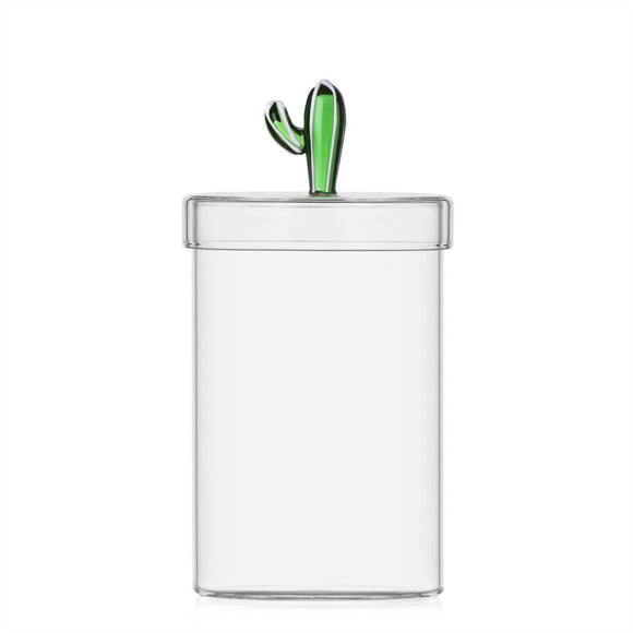 Desert Plants Box Cactus Green