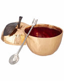 Apple Honey pot with spoon michael aram - Gold