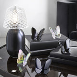Papillon Lucky Butterfly - Black